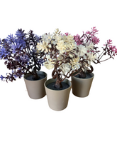 Load image into Gallery viewer, Large Flower Pot