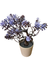 Load image into Gallery viewer, Large Flower Pot