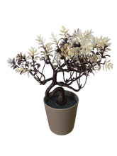 Load image into Gallery viewer, Large Flower Pot