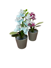 Load image into Gallery viewer, Mini Flower Pot