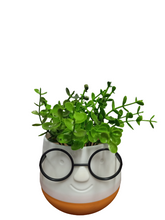 Load image into Gallery viewer, Flower Pot : Spectacles