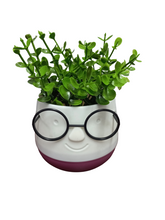 Load image into Gallery viewer, Flower Pot : Spectacles
