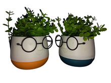 Load image into Gallery viewer, Flower Pot : Spectacles