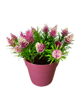 Load image into Gallery viewer, Flower Pot: Basic Flowers
