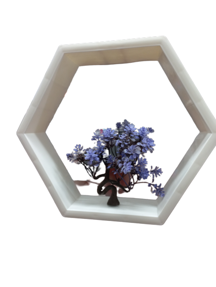 Hexagon Wall Mount