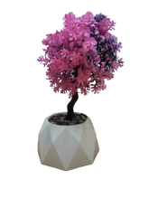 Load image into Gallery viewer, Flower Pot : Dome Base Bonsai
