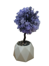 Load image into Gallery viewer, Flower Pot : Dome Base Bonsai
