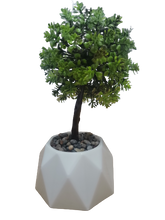 Load image into Gallery viewer, Flower Pot : Dome Base Bonsai
