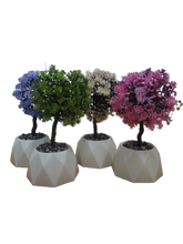 Load image into Gallery viewer, Flower Pot : Dome Base Bonsai
