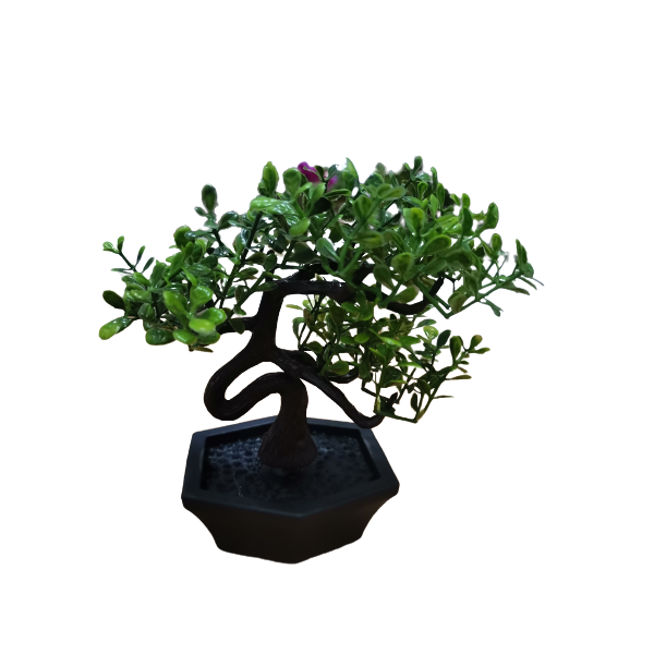 Flower Pot : Bonsai Mini