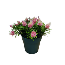 Load image into Gallery viewer, Classic Flower Pot
