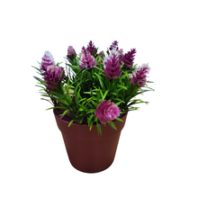 Load image into Gallery viewer, Classic Flower Pot
