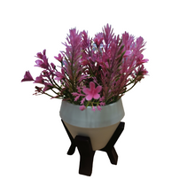 Load image into Gallery viewer, Flower Pot with Stand
