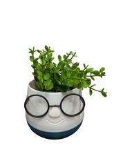 Load image into Gallery viewer, Flower Pot : Spectacles
