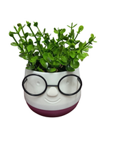 Load image into Gallery viewer, Flower Pot : Spectacles
