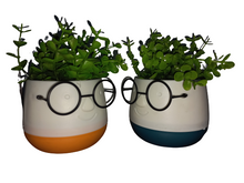 Load image into Gallery viewer, Flower Pot : Spectacles
